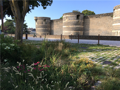 Promenade du Bout du Monde, Angers.